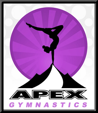 APEX TEAM & ACTION 2017